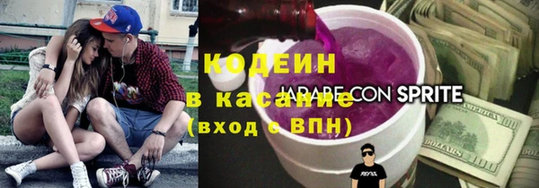 мдпв Пересвет