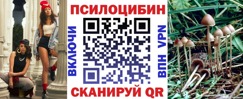 Псилоцибиновые грибы GOLDEN TEACHER  MEGA зеркало  darknet наркотические препараты  как найти наркотики  Белый 